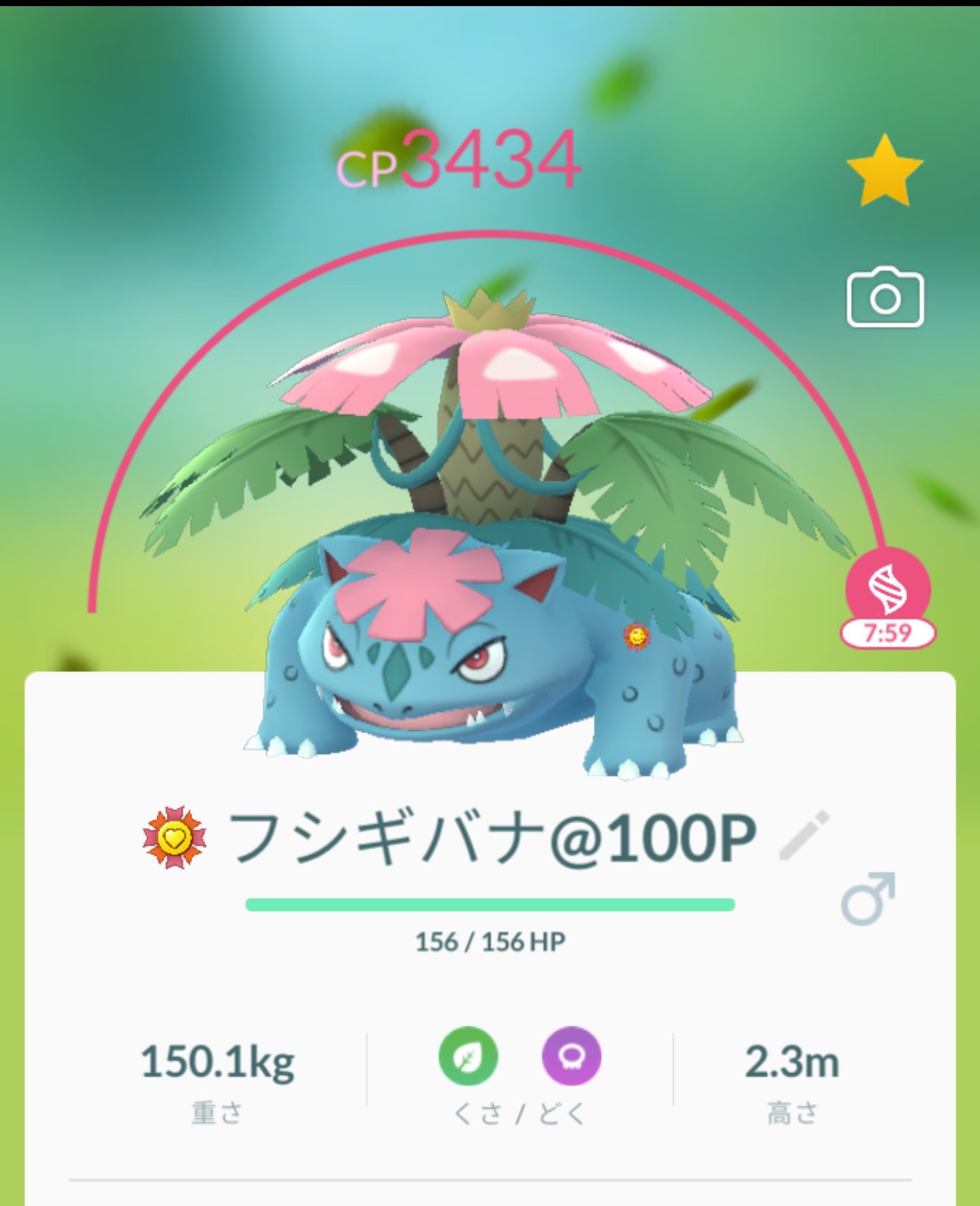 さい ポケモンgo仙台 ポケモンgo フシギバナ メガフシギバナ がんばリボン あ メガシンカさせても がんばリボンはそのまんまなんだね 個人的にフシギバナのがんばリボンの位置がお気に入りである笑 T Co Yg9257tk1f Twitter