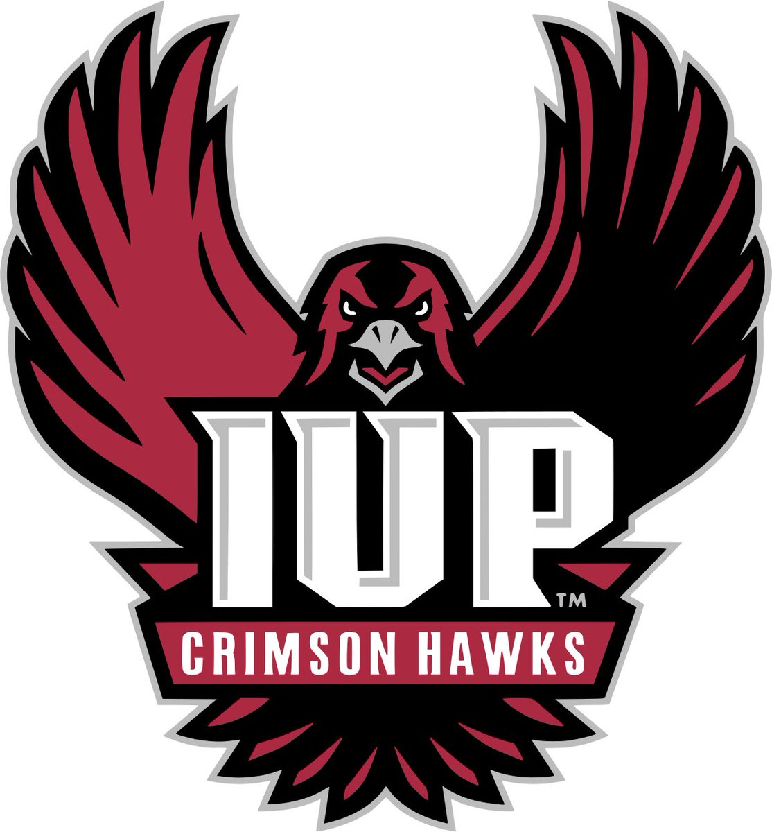 madelinem1315's tweet photo. I am blessed and excited to announce that I will be continuing my academic and athletic career at Indiana University of Pennsylvania! I want to thank my family, coaches and teammates that have always encouraged and been there with me on this journey! #GoCrimsonHawks @IUPsoftball https://t.co/CAGwO3T9kZ