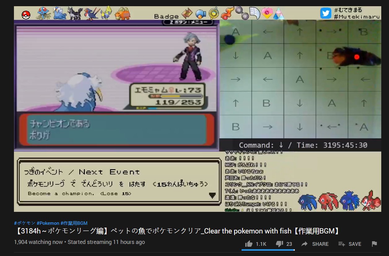 Patterrz A Fish Has Just Beaten Pokemon Emerald A Bloody Fish T Co Tqgiqczfpg