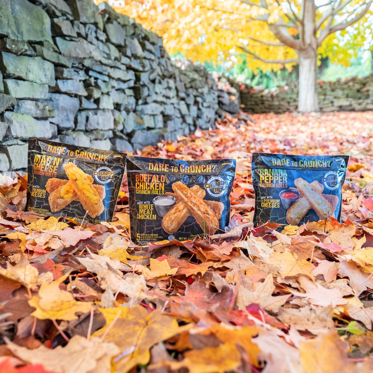 daretocrunch's tweet photo. Things that go CRUNCH in the fall... https://t.co/adlrXveyoX