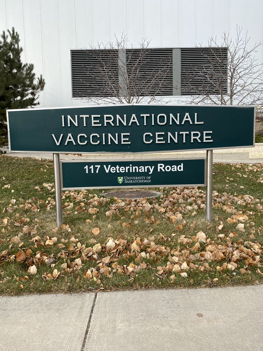 YXEUnderground tweet media