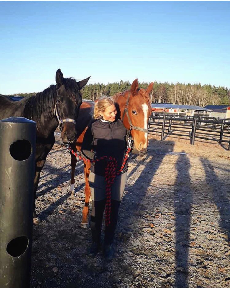 Future stars in the making at this record hot november day.

#racehorses #futurestar #bropark