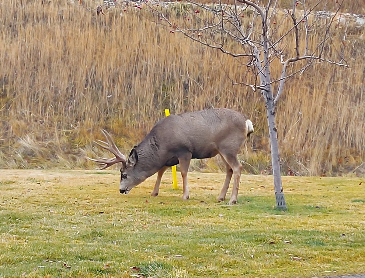 Look who came to visit us today!!