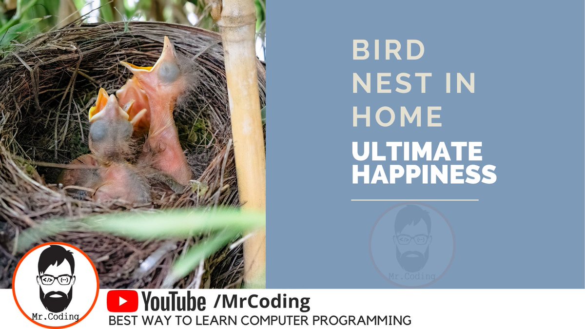 MrCoding33's tweet image. When the Bird makes a nest in our home at that time whatever feeling we feel is the Ultimate Happiness of Life
#mrcoding
#mrcoding33
#UltimateHappiness