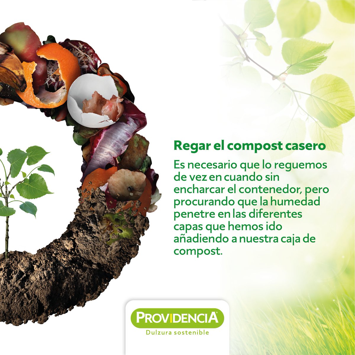 providencia_col's tweet photo. Haciendo nuestro propio compost en casa reducimos los desechos orgánicos que van a la basura, reducimos el uso de fertilizantes artificiales para nuestras plantas y lo mejor, nos conectamos con la naturaleza. ☺️
Inténtalo, es muy fácil.
#compostcasero #DulzuraSostenible https://t.co/O0PCG50a4x