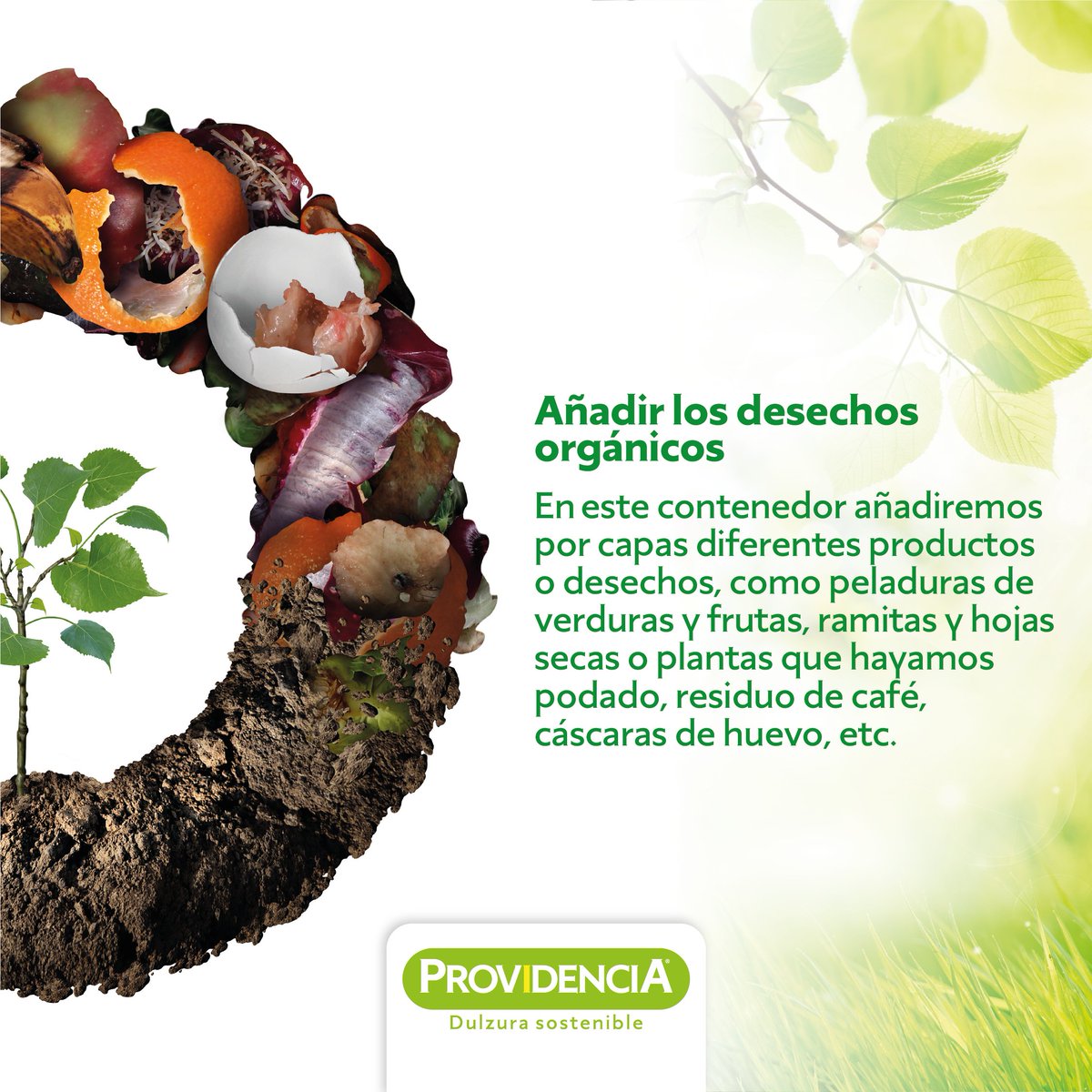 providencia_col's tweet photo. Haciendo nuestro propio compost en casa reducimos los desechos orgánicos que van a la basura, reducimos el uso de fertilizantes artificiales para nuestras plantas y lo mejor, nos conectamos con la naturaleza. ☺️
Inténtalo, es muy fácil.
#compostcasero #DulzuraSostenible https://t.co/O0PCG50a4x