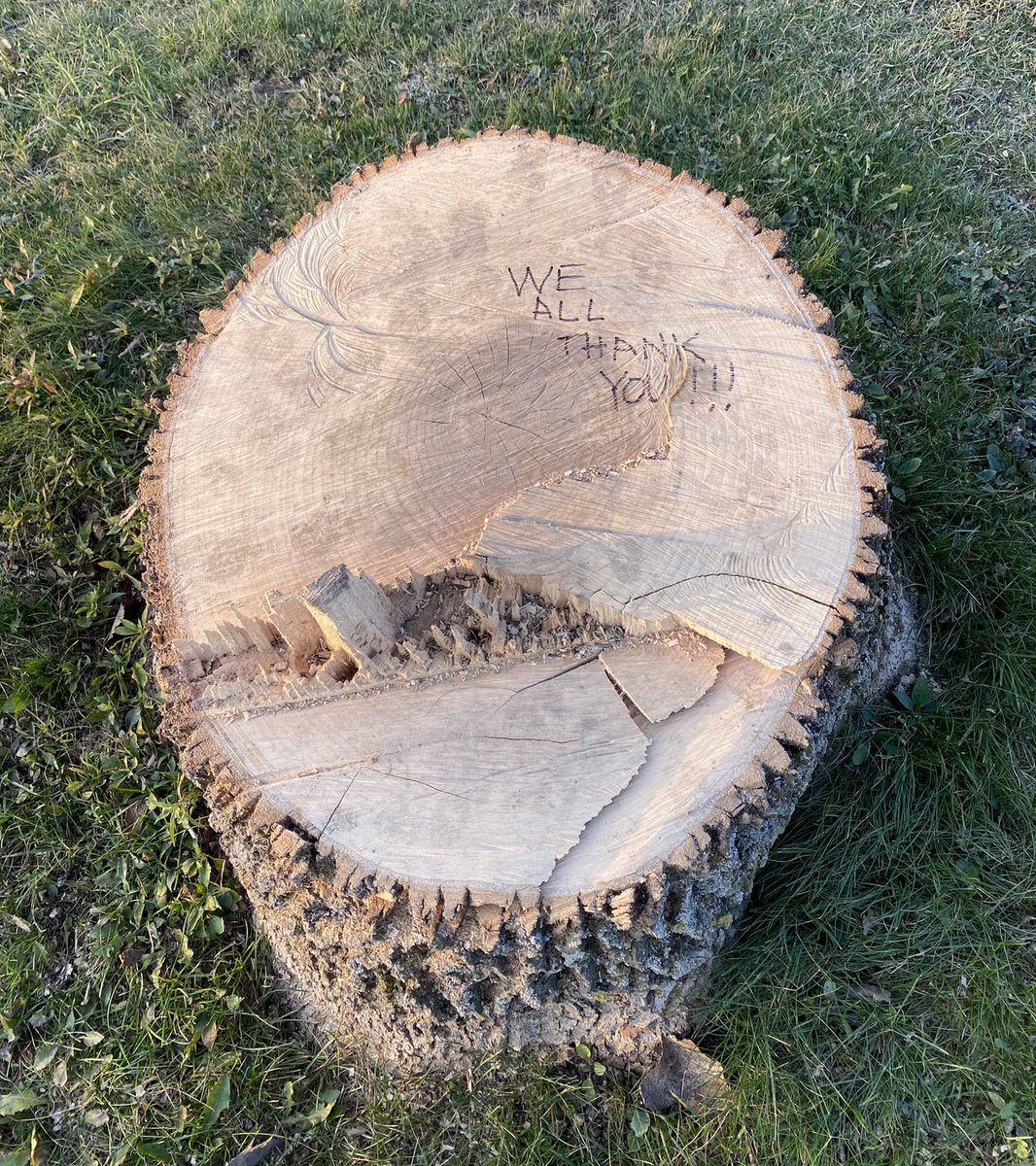 patvibbard's tweet photo. I had a feeling people would appreciate this tree being removed! #gns https://t.co/vuhVxKr3YY