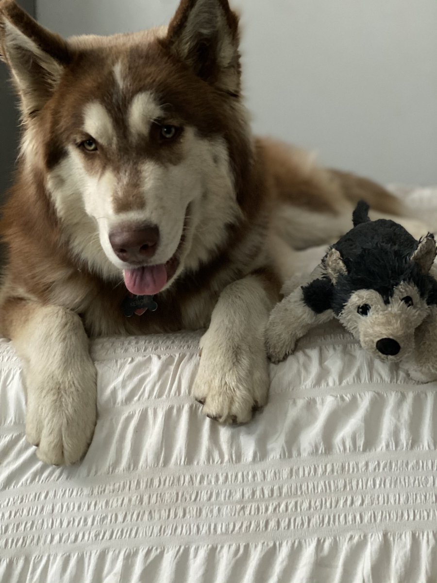 aleortegs's tweet photo. My handsome boy🥰 https://t.co/tqHQ41EWWn
