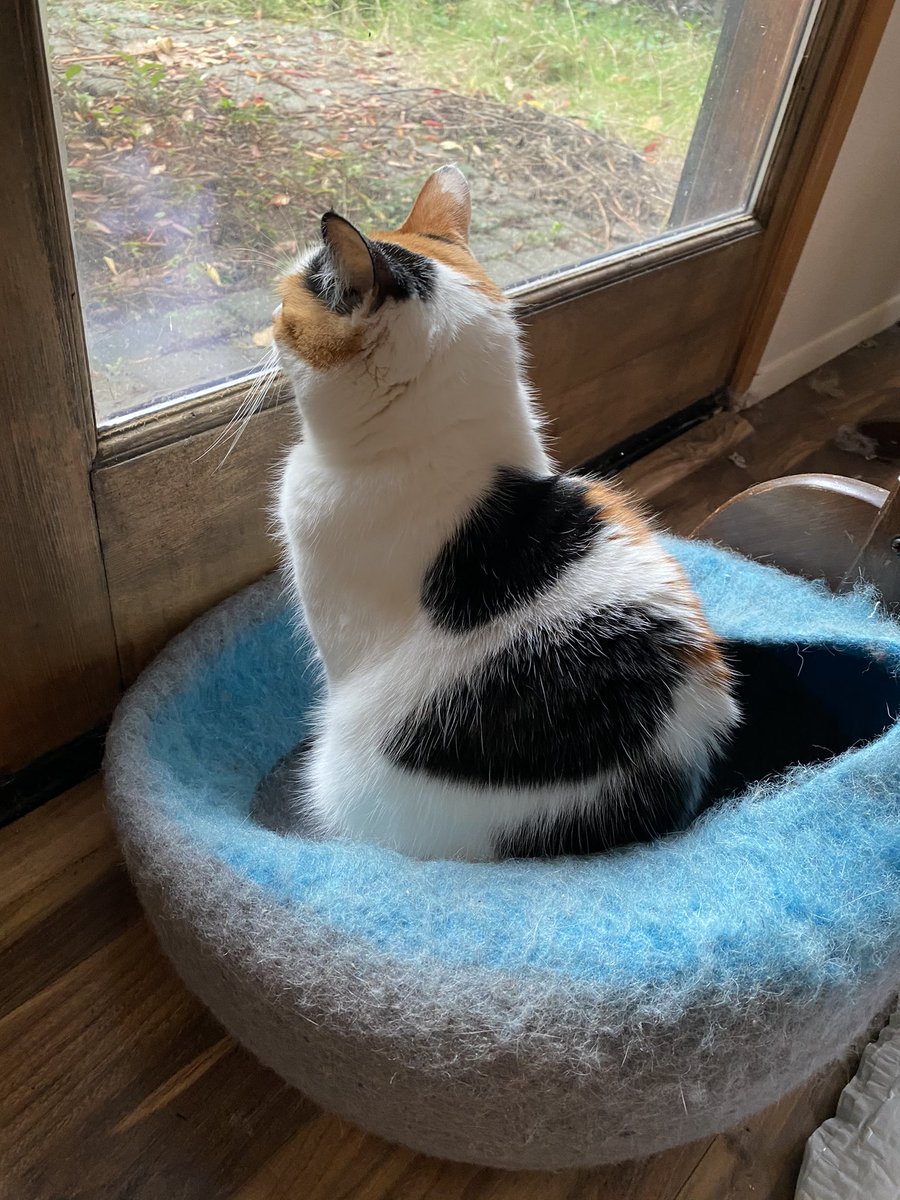 We are all looking at this election like this.