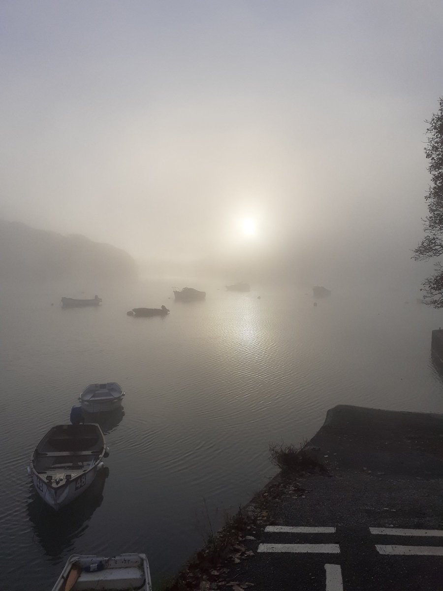 stephen_turpin's tweet photo. Golant thursday morning.... https://t.co/gj2EfXa8oe