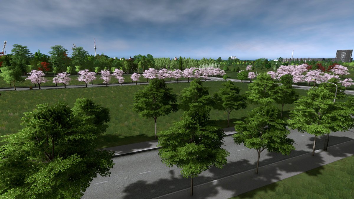 AmiPolizeiFunk's tweet photo. A row of new Hazel Trees by #pdelmo exactly where they go on Kopenhagener Str. in Prenzlauer Berg, #Berlin @CitiesSkylines Get yours here ➡️https://t.co/3mDK9hW1su &amp; don't forget to upvote! 👍 https://t.co/bOiq3pVZ4v