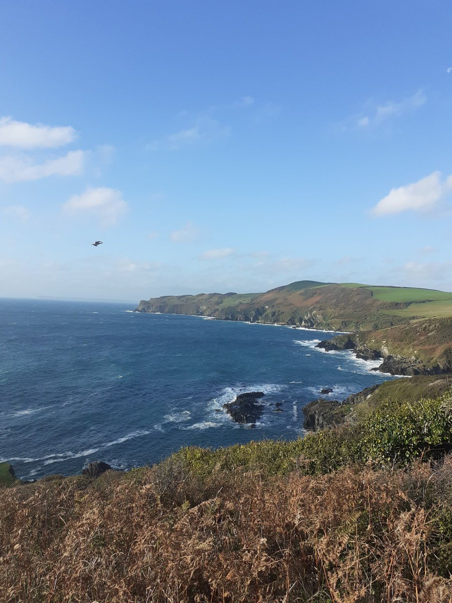 stephen_turpin's tweet photo. Lansallos friday morning... https://t.co/CCDas8w2aG