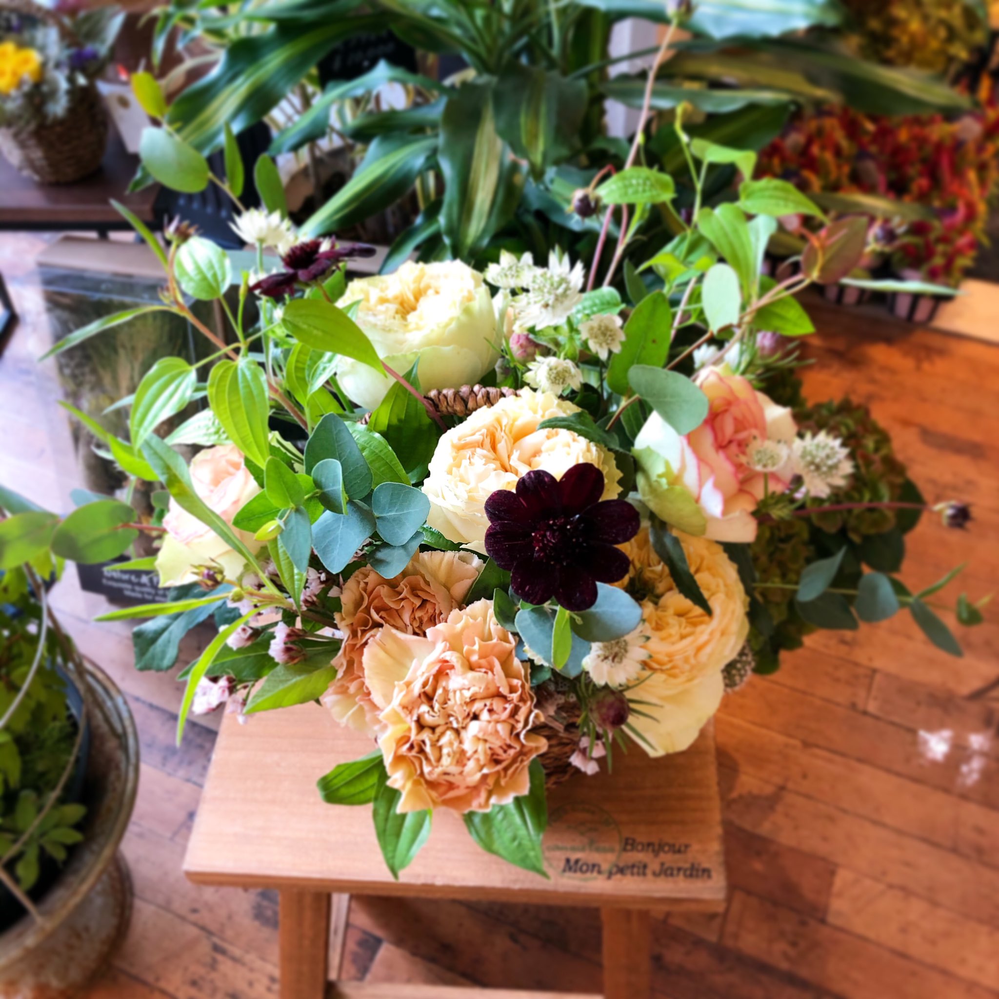 徳島花屋 Twitter Search Twitter