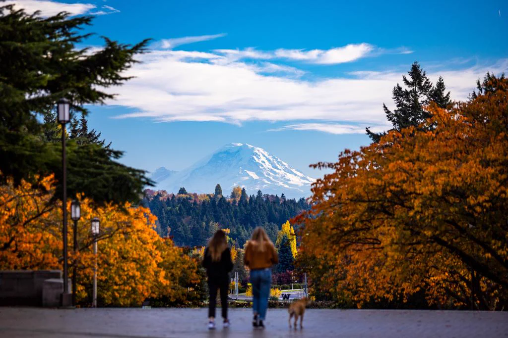 Orange and yellow leaves on trees frame an afternoon-lit Mount Rainier as two people and a dog (in the foreground) walk toward the mountain 