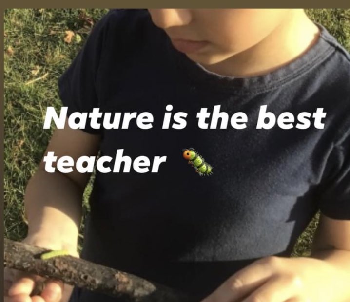 Kinder Room 208 tweet media