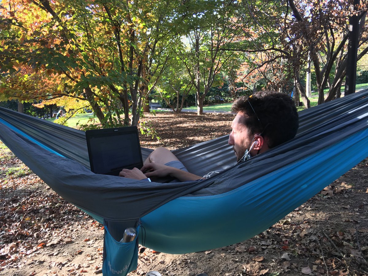 PhilWilliamsABC's tweet photo. Election stress busted in a Washington DC Park. Many told me they couldn’t stand the tension and were giving overloaded brains a break #dcpark #electionescape #BidenHarris2020 #trump #abcnews https://t.co/8Xa5DF0DQf