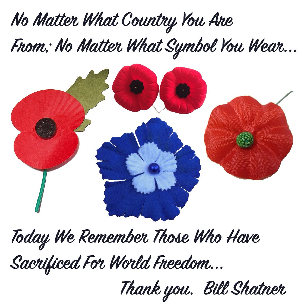 Whatever name you use: #ArmisticeDay #RemembranceDay #VeteransDay or symbol you wear, today we remember those who sacrificed themselves for world freedom.  My best, Bill