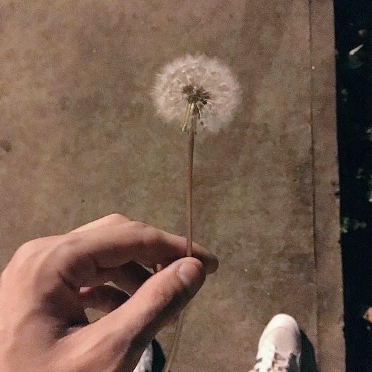 I was bored, ok? a thread: