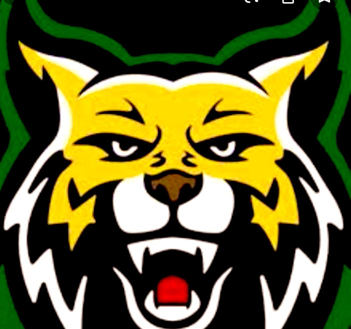 CRYSTING__'s tweet photo. I am extremely blessed and honored to receive an offer from Coach Eager @CoachEager of Bishop State Community College‼️It’s still just the beginning for greater things‼️ https://t.co/0uvNK5tLFq