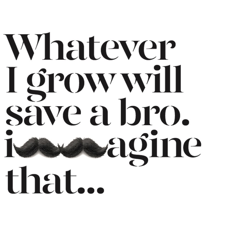 Lewis Notarangelo tweet media