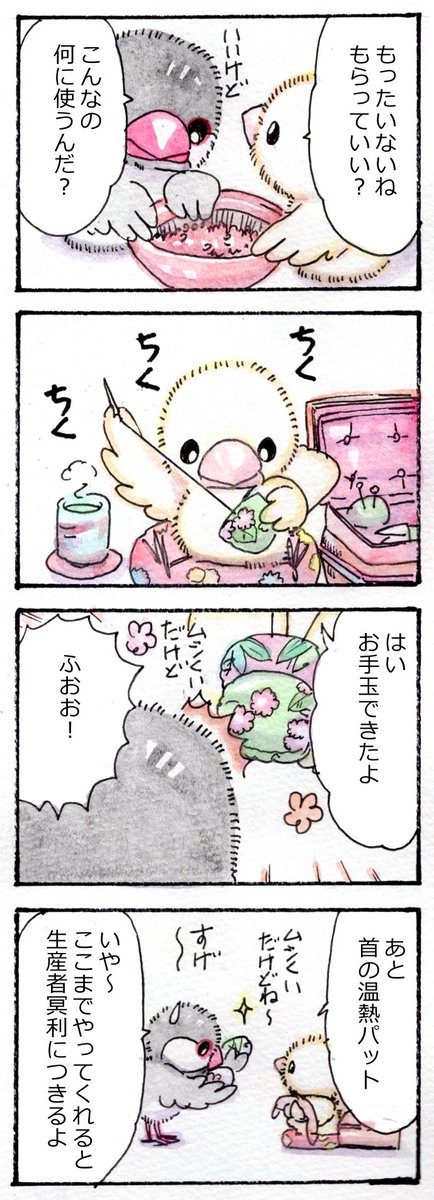 小豆の選別 さらに続き
#かいどりさん 