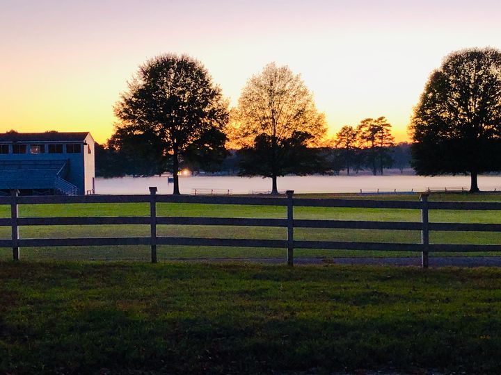 CCSrightnow's tweet photo. Tidewater fog descends ... #DischingerField #sunset #November #JamieRileyTree #PrivateSchool #CollegePrep #BoardingSchool #since1921
📸: Mrs. Kiland https://t.co/9SxLxTPqZY