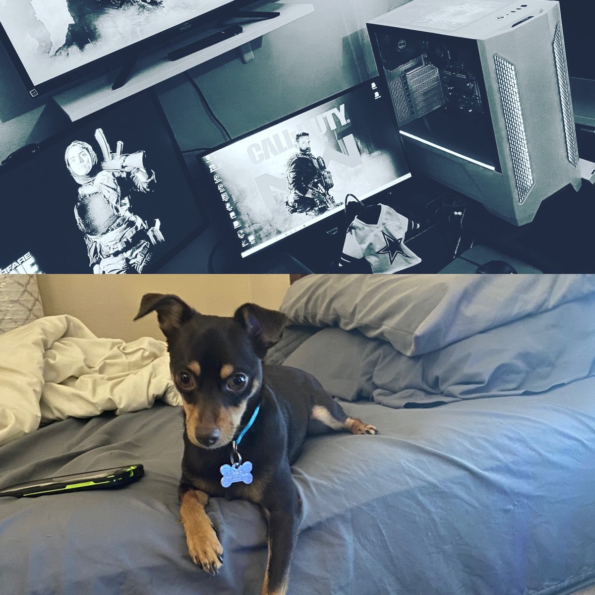MaddenKing024's tweet photo. WE LIVE!! My buddy chillin with me lol funny #Twitch #Grind #Streamer #Gamer #BabyPc #3Screens #FeekiRC #BuckTownSquad #OPFK #MaddenKing024 #PC #StreamLabs  #COD #WarZone #CODWarZone #Affiliate #HypeZone #Follow #CowboyNation #HangOut #FunnyDog #Cutie #Puppy #WeLive #LinkInBio https://t.co/1X5icHM0bZ