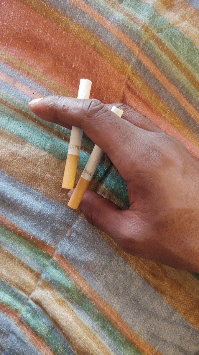 Brandon Blake Booker1 tweet media