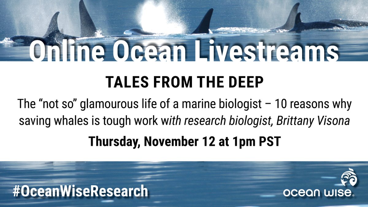 OceanWise's tweet photo. “I want to be a #marinebiologist when I grow up.” Thanks to aquariums and films like “Flipper” and “Free Willy”, many kids aspire to be a marine biologist when they grow-up. Join our research biologist Brittany, as she shares her daily tasks. Register: https://t.co/GKSZxzMizp https://t.co/cS1InOiUKk