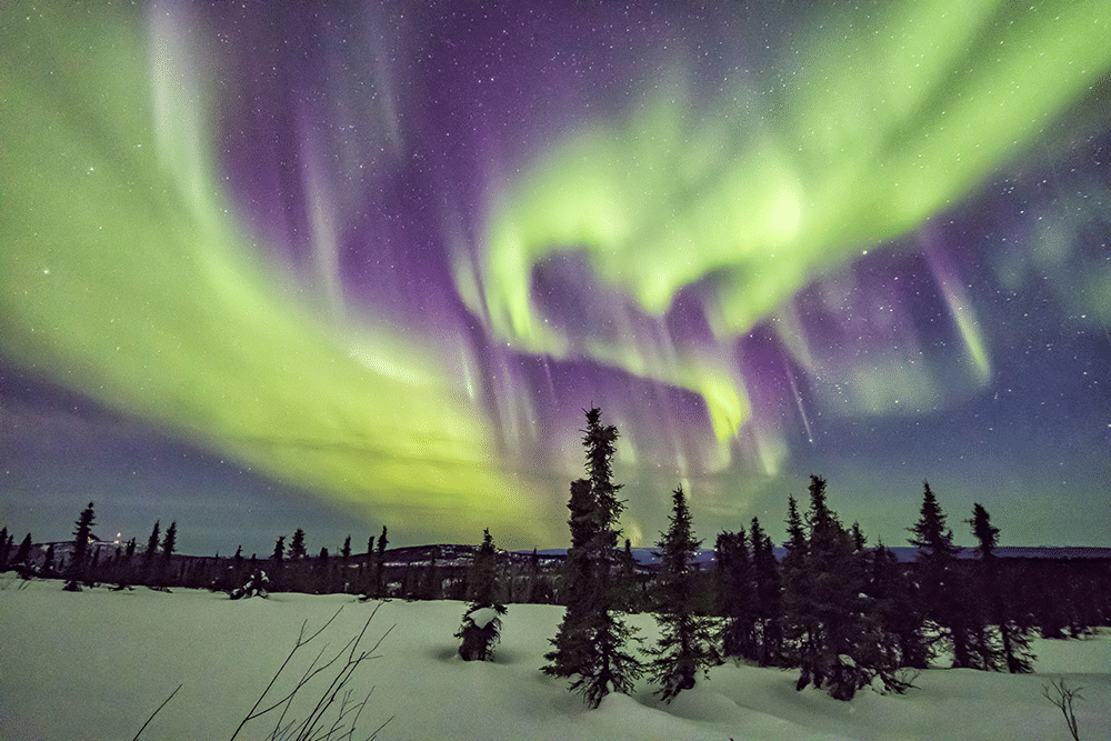 Datacolor's tweet photo. Dancing Lights
๐ท @Sklooty
โก๏ธ https://t.co/SHYwep2TLN
#Photography #TravelPhotography #WorldPhotography #PhotographerTips #PhotographyTips #NorthernLights #Alaska #USA https://t.co/vKIsDHV2mU