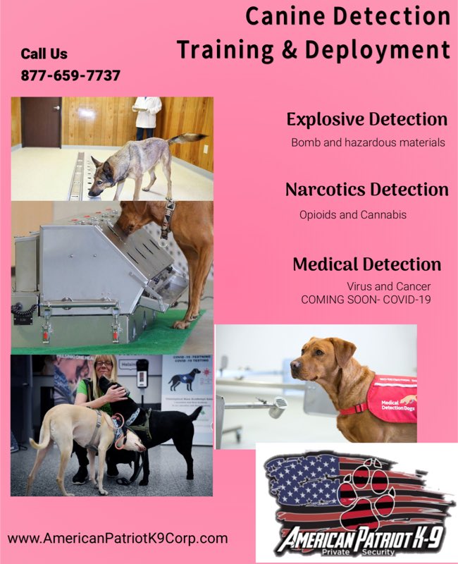 ClassicRoy's tweet image. #K9 #k9training #canineDetection #COVID19