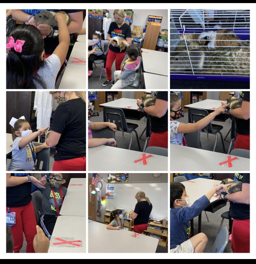 mayraperez2015's tweet photo. Kindergarten had fun today visiting our the Guinea Pig. @CyFairISD @CFISDAndre #AndreInAction https://t.co/euONRcyMOl