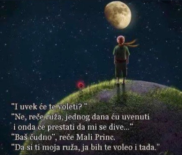 ticbra_'s tweet photo. 🌹🌠 https://t.co/dC1xRSz4NT