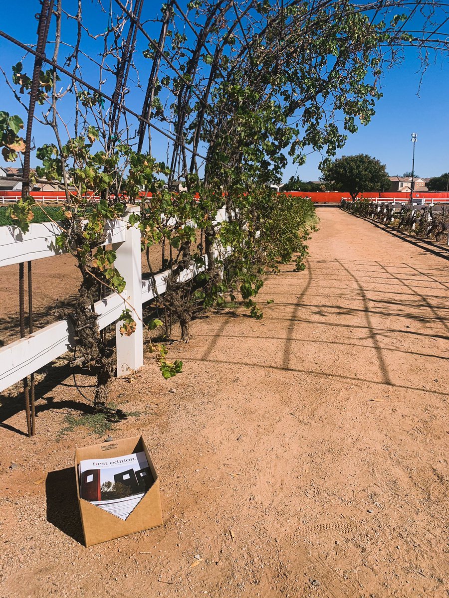 firsteditionmag's tweet photo. First Edition is now available at The Farm Store at Agritopia in Gilbert, AZ, among just-picked produce + honey + pasta + cocktail syrups + tea towels + ballcaps. Wander out this weekend — or on the next Farm Night, Nov. 11, with live music and a bonus batch of vendors. https://t.co/72p7FmAfMj