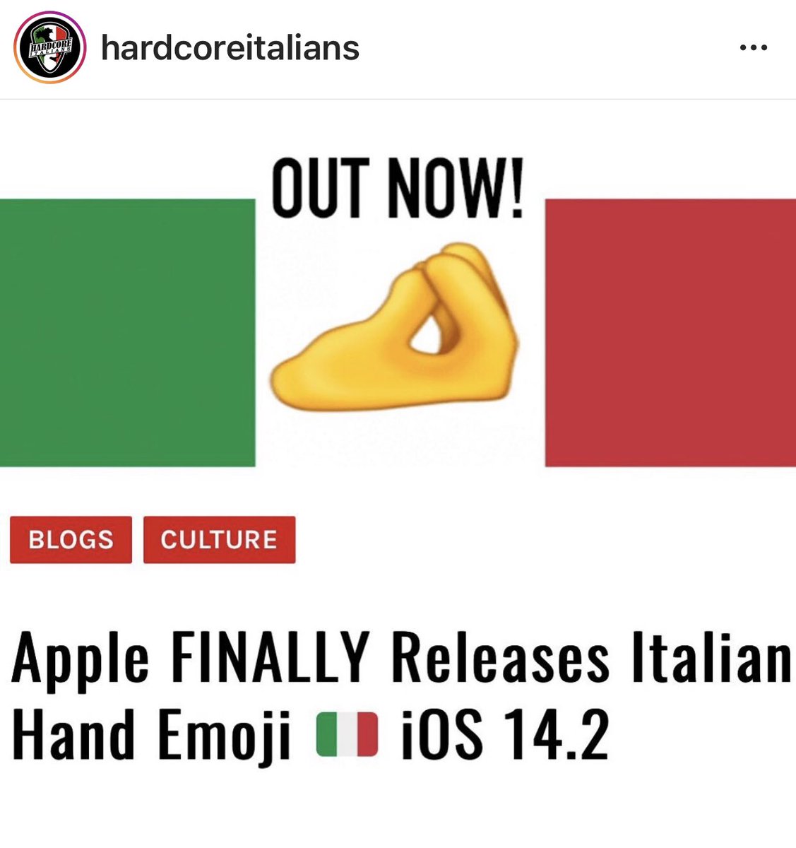 selene422's tweet photo. My fellow Eyetalians... ๐ค๐ป๐ฎ๐น #Italian #ItalianEmoji #UpdateYouriPhone https://t.co/buURSgqY4l