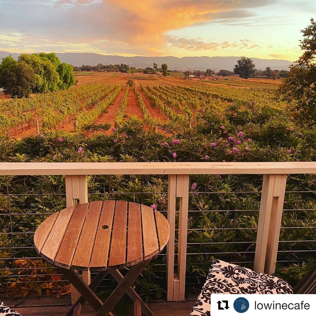 losolivosca's tweet photo. The views here do not disappoint!🌅 
・・・
For real! This is the view of our Bernat vineyard and surrounding farm land from the upstairs patio of our vacation rental at sunset, and it could be yours. Visit our profile link for more information. #losolivosca

#Repost @LOWineCafe https://t.co/NcfJR134FI