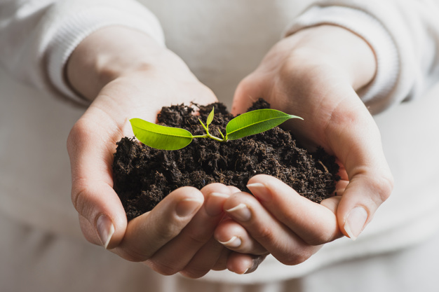 EuroseedsEU's tweet photo. FAO estimates that up to 40 percent of food crops are lost to plant pests and diseases annually. That is why #planthealth 🌱🌱 is crucial to contribute to #sustainableagriculture. 

ℹ️ https://t.co/kRkhqL7pVV 
#IYPH2020 https://t.co/nEjCWqdZOR