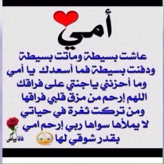 هاني (أحمد أبي❤ وعربية أمي) HANI tweet media