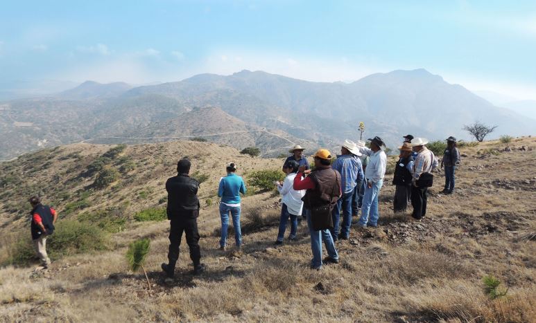 FAOMexico's tweet photo. #ProTierras mejorando las tierras de #México
✅ 1 196 productores fueron capacitados en manejo sostenible de tierras;
✅ 8 362 hectáreas fueron intervenidas con obras y proyectos de inversión por parte de los socios del proyecto
📗➡️https://t.co/AltFYHaKb7 https://t.co/SmfVZtO1fZ