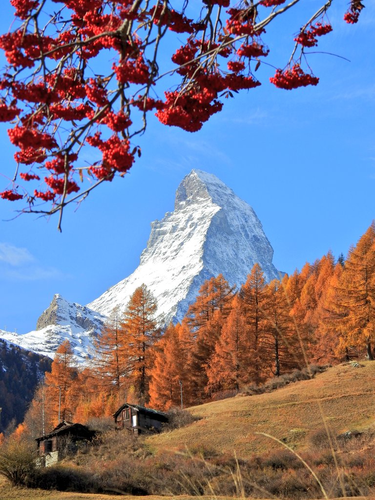 Yanick_8's tweet photo. Welcome to Switzerland 
Willkommen in der Schweiz 
Bienvenue en Suisse
Benvenuto in Svizzera 
スイスへようこそ
🇨🇭🏔️📸
#Matterhorn #Cervin 
#Cervino #マッターホルン 
#Zermatt #ツェルマット
#Swiss #Schweiz #Suisse 
#Svizzera #スイス
#photograghy #写真 https://t.co/NIfLJPKotk