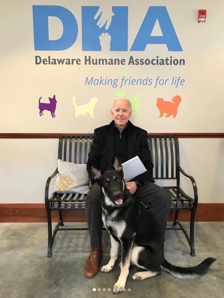 SprksFly4Taylor's tweet photo. Can we talk about this Good Boy who started at the Humane Society and will be moving into 1600 Pennsylvania in January?! π₯Ί #FirstPup #GermanShepherd #OvalRuff https://t.co/8ohg7HHRuw