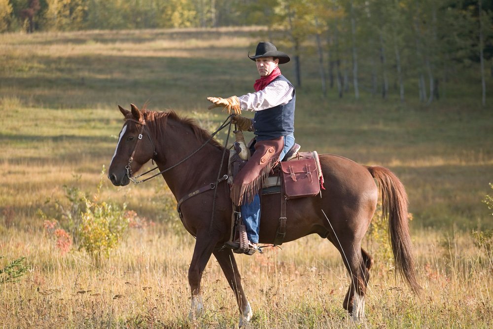 AgSafeBC's tweet photo. AgSafe provincial ranch safety consultant, Reg Steward was recently interviewed by Canadian Cattlemen about the integral relationship between health and safety and good stockmanship.
Read @CanCattlemen: https://t.co/OhmWmvCbG9 #BCranching #BCbeef #cattleranching https://t.co/vXY2XICwiB