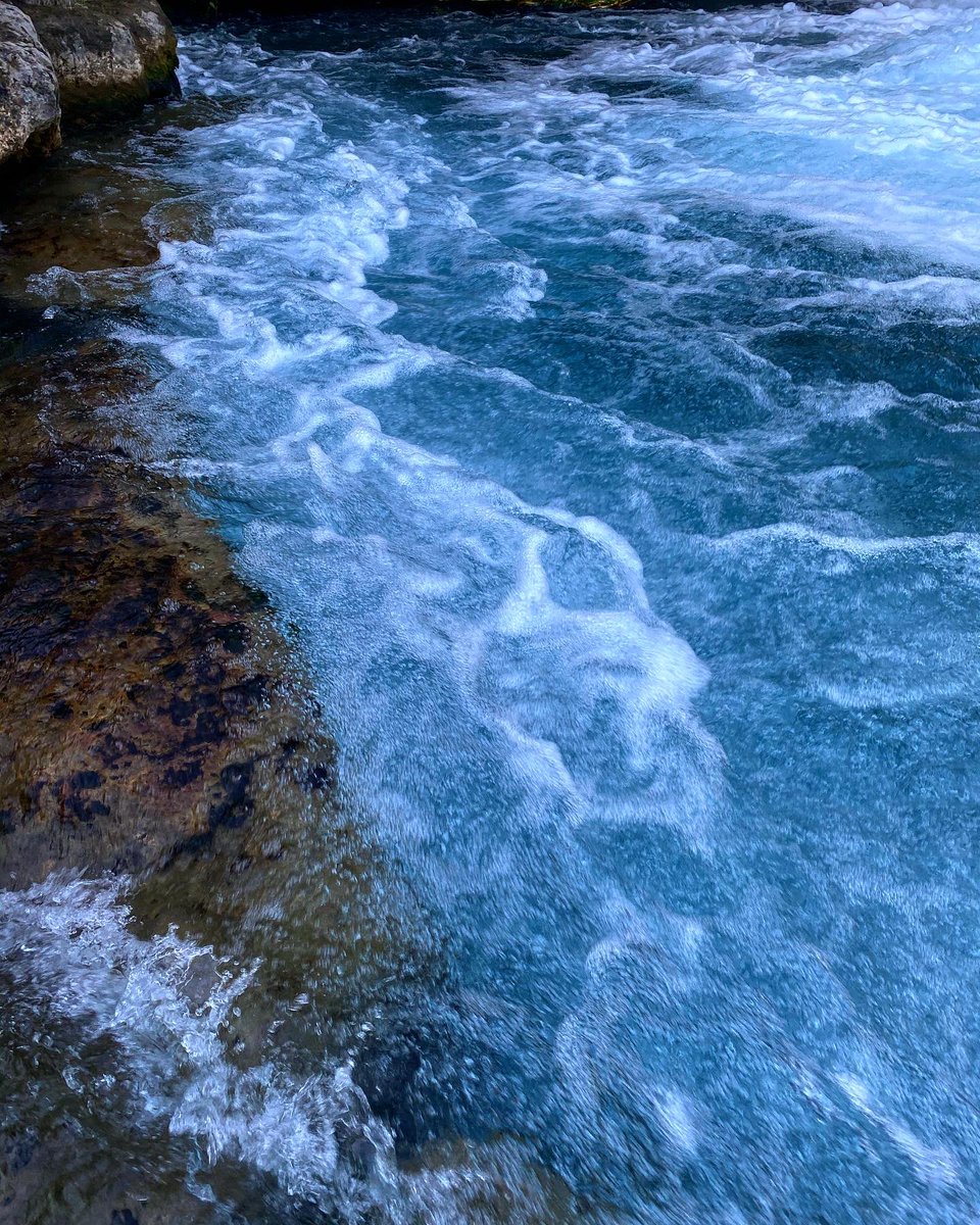 Veronica_Cruz2's tweet photo. Also pics from my latest water trip, also the day I dislocated my elbow, was a gnarly ass trip https://t.co/A4U1tJ2B0G