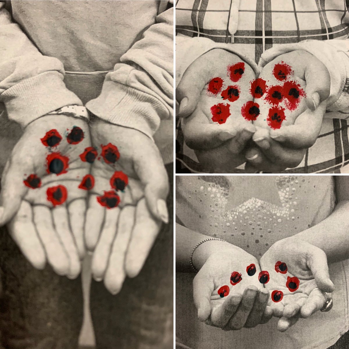 Brenna Horsfall (@horsfall_brenna) on Twitter photo 