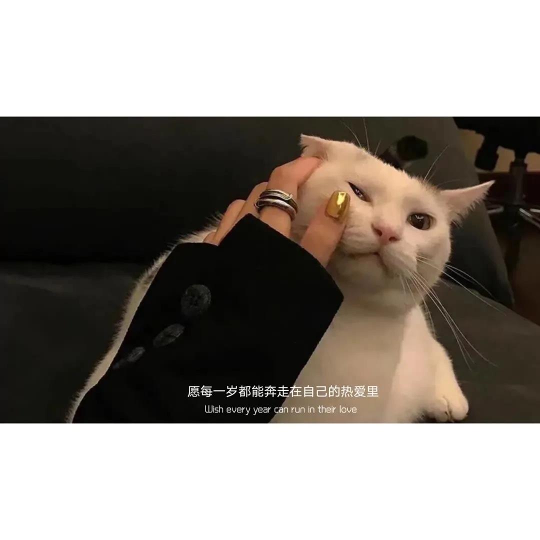 QueenieHU6's tweet photo. HAPPY TO SEE YOU ALL. https://t.co/mMkMZsZ90U