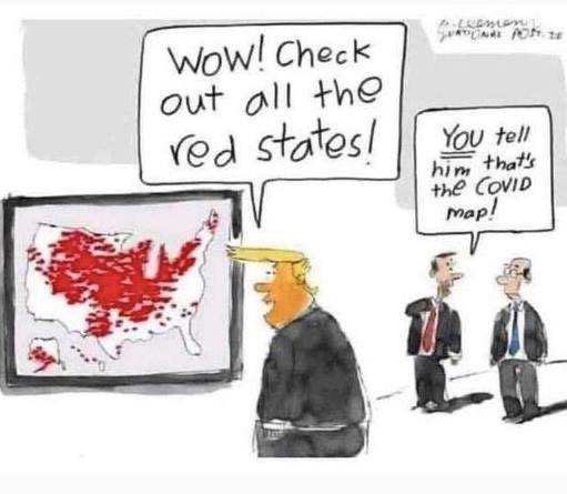 lessbacon's tweet photo. Sometimes you just see what you want to see. President Trump is correct...we are rounding the corner. #CountEveryVote https://t.co/uKDcilKbVb