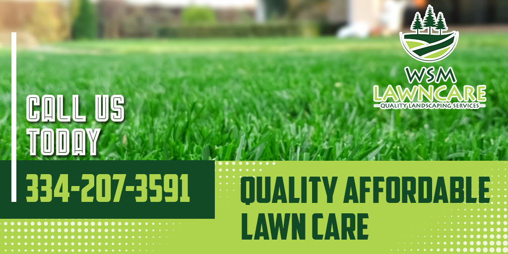 LawnWsm's tweet photo. From shrub trimming to lawn mowing, #WSMLawnCare will always work quickly🙆 to help you achieve the landscape🏞 you deserve. 
#qualityaffordable #lawncareservicemontgomery #lawncareservice #shrubtrimming #lawnmowing #montgomeryalabama https://t.co/LmOlqViTUD