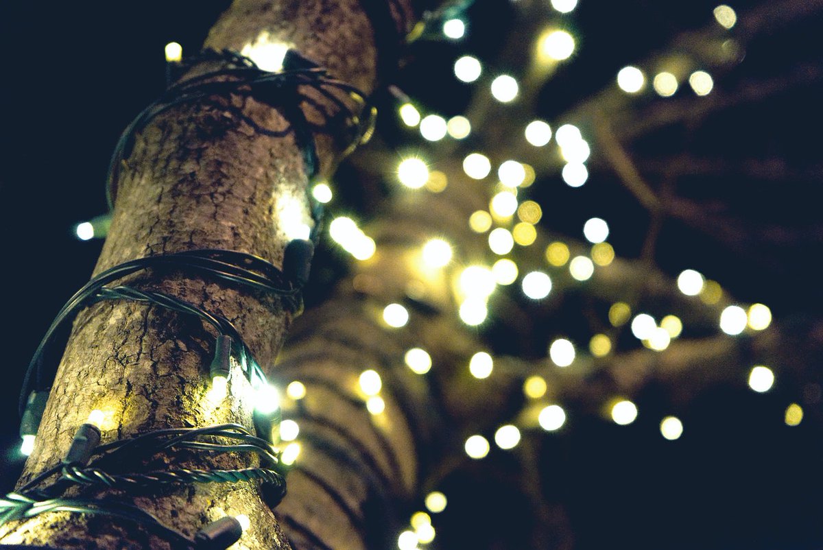 easy_treezy's tweet photo. Do you leave Christmas decor up during the year? We do! #easytreezy #christmasallyear #christmasdecor #christmaslights https://t.co/zpMSOUu6HL
