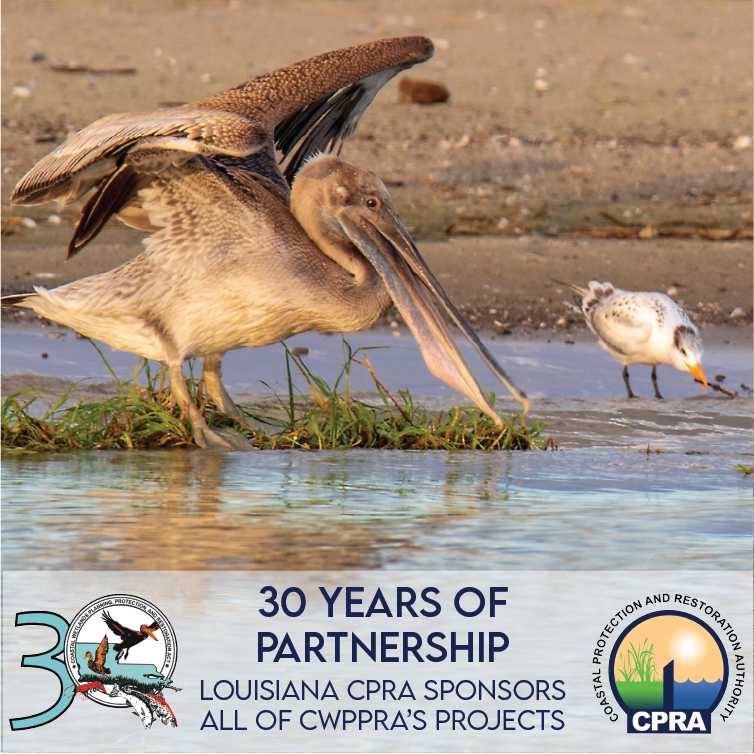 cwppra's tweet photo. CPRA acts as the local cost-share partner and matches 15% of CWPPRA's federal funding. The Louisiana Coastal Master Plan ensures that all restoration projects build on earlier efforts, improving strategies and preserving local communities.

#CWPPRAat30 https://t.co/7V73EZPwl3