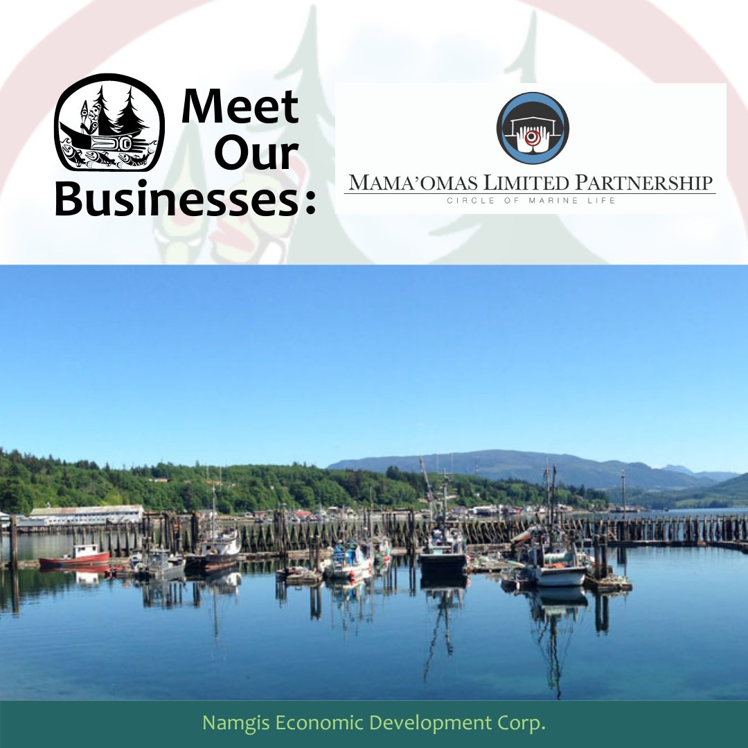 namgisedc's tweet photo. Mama’omas means “Circle of Marine Life.” 

The core business of Mama’omas is to manage fishing licenses that the ‘Namgis First Nation has been given access to by DFO through 2 different programs (PICFI and ATP). 

Source: @mamaomas
#namgisbusiness #NAMGIS #namgisfirstnation #NFN https://t.co/Euz67s19Ch